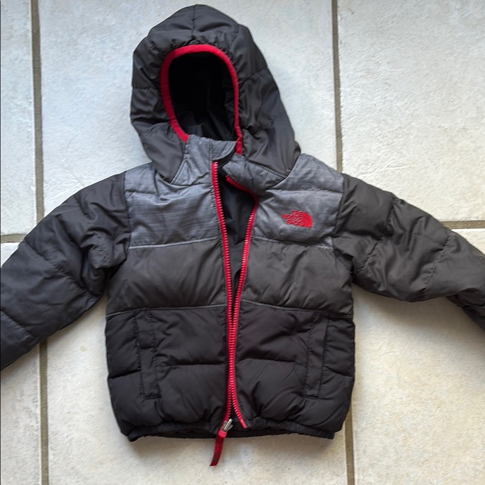 The North Face Black Puffer Jacket with Hood and Insulated Design